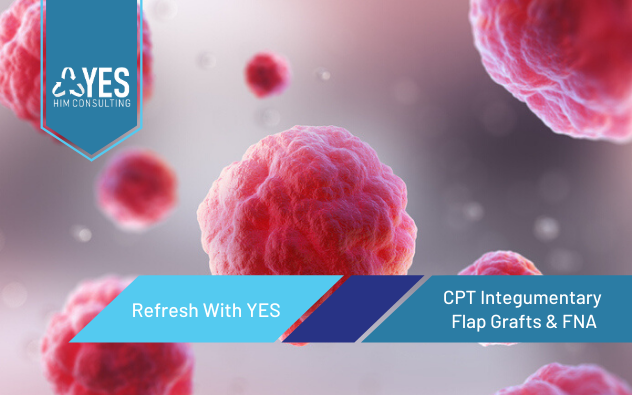CPT Integumentary Procedures - Flap Grafts & FNA | Ceus Included