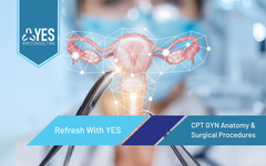 2020 CPT GYN Anatomy & Surgical Procedures | Ceus Included
