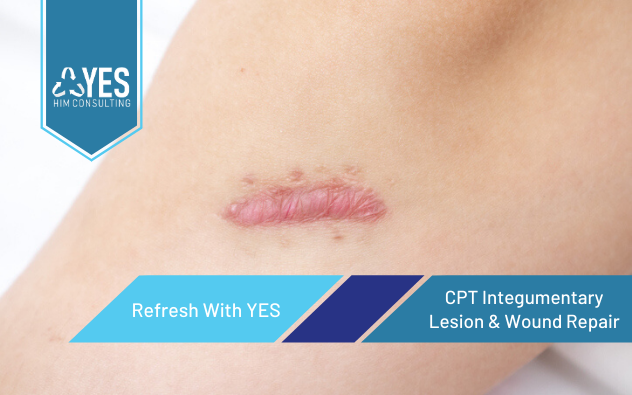 CPT Integumentary - Lesion & Wound Repair | Ceus Included