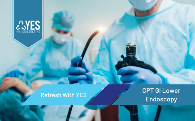 2020 CPT GI Lower Endoscopy Procedures | Ceus Included