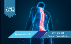 CPT Spinal Fusion Procedures | Ceus Included